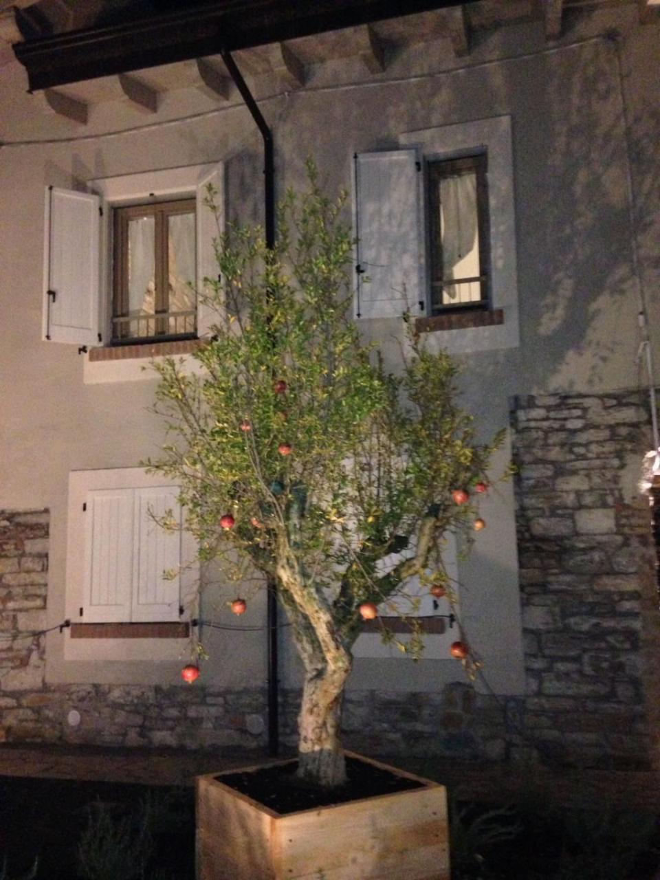 Uvamatta Villa Carmiano  Exterior photo